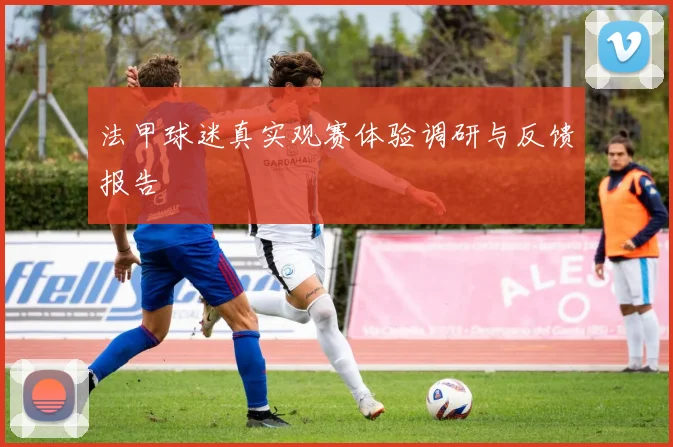 法甲球迷真实观赛体验调研与反馈报告