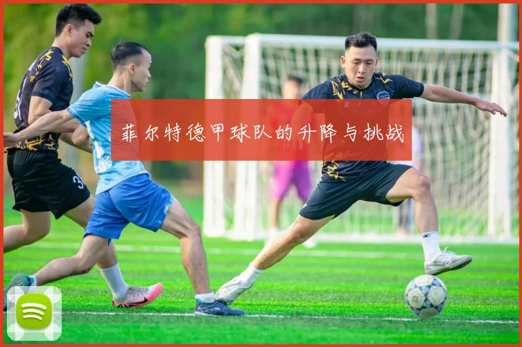 菲尔特德甲球队的升降与挑战