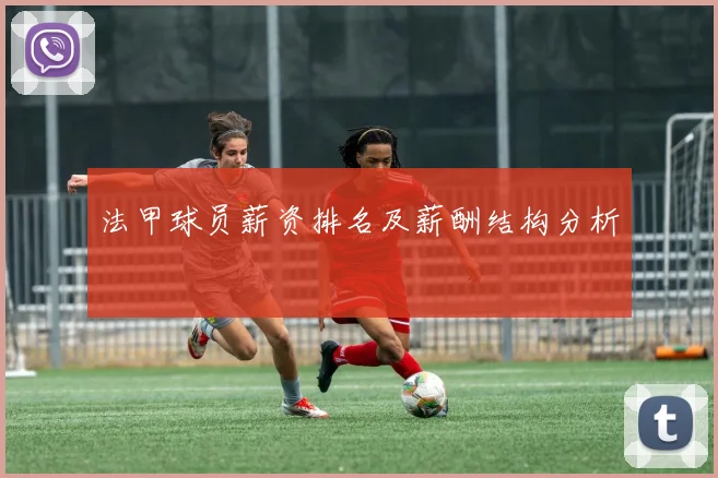 法甲球员薪资排名及薪酬结构分析