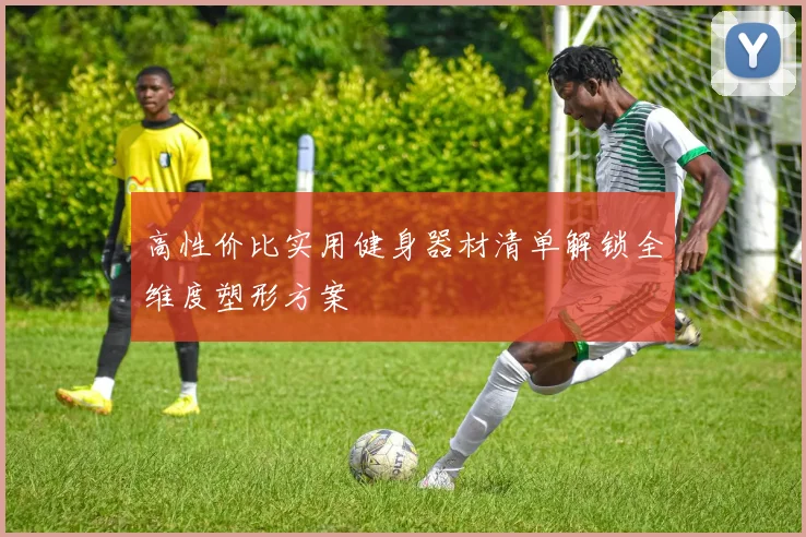高性价比实用健身器材清单解锁全维度塑形方案